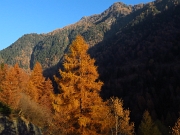 PASSEGGIATA IN VALMASINO AL RIFUGIO PONTI MT.2559 Venerdi 16 novembre 2012  - FOTOGALLERY